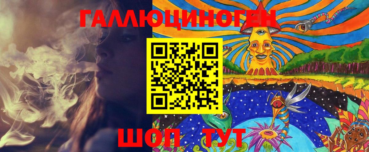 Галлюциногенные грибы Psilocybine cubensis Новороссийск