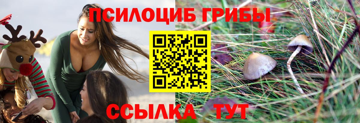 Новороссийск  Псилоцибиновые грибы мицелий  Вход с VPN 